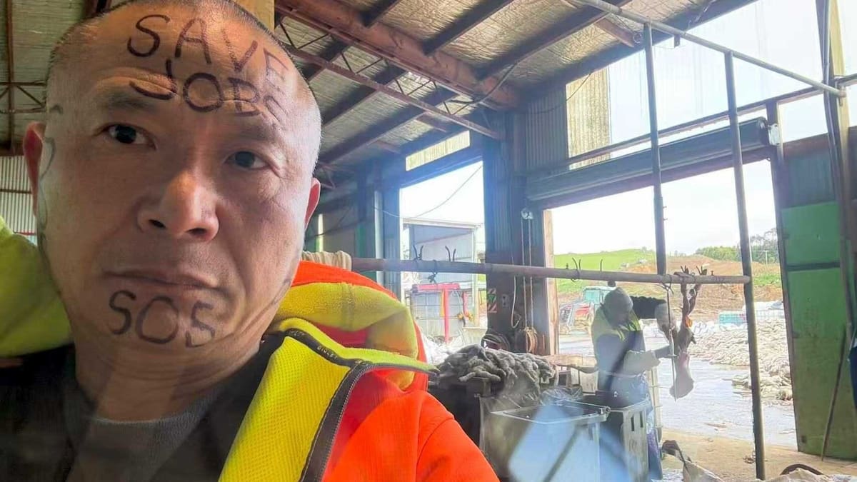 Southland slink skin operator Eddie Zhi denies stalking and harassment