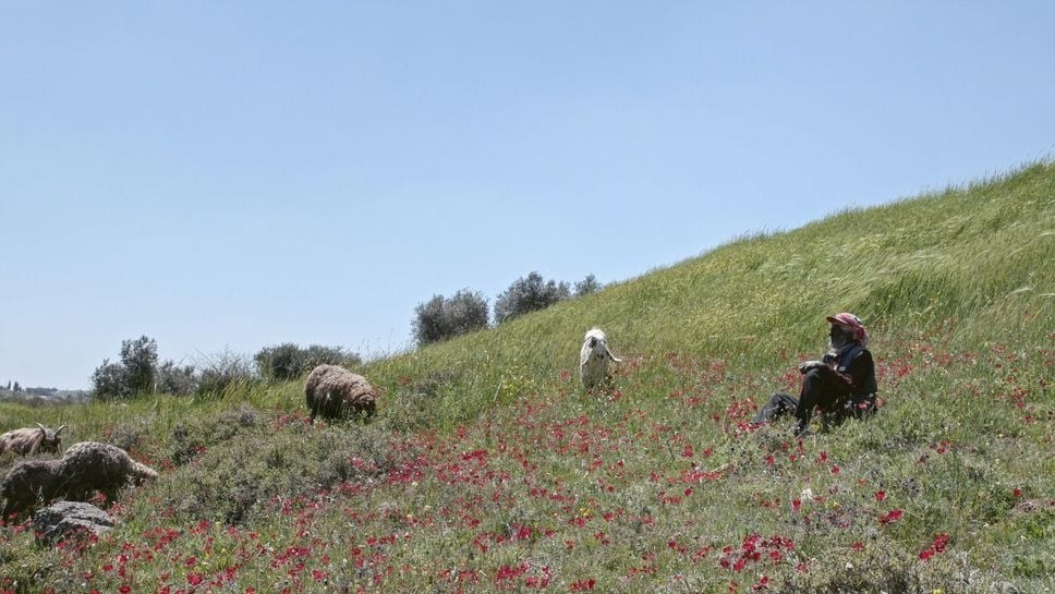 'Concrete Land' film still