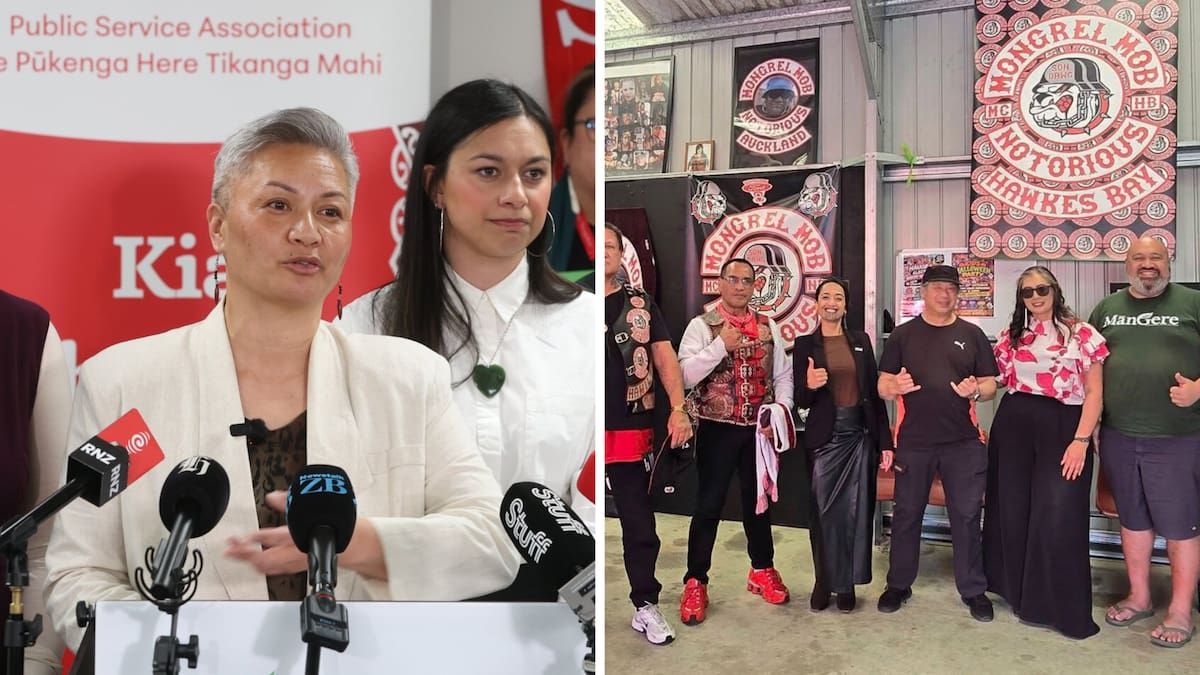 Election 2026 Campaign Diary: How the Mongrel Mob photo furore damages the left