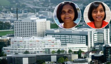 Sister doctors bid to stop Auckland Hospital bullying investigation rejected