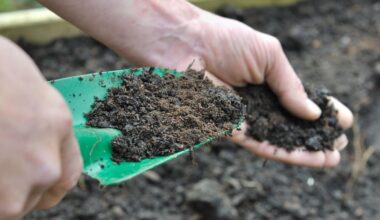 Spring gardeners warned of Legionnaires’ disease risk after 135 hospitalised, 36 Canterbury cases