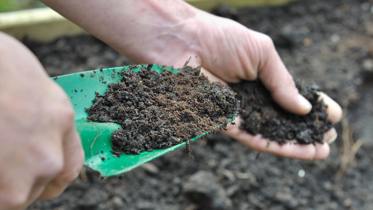 Spring gardeners warned of Legionnaires’ disease risk after 135 hospitalised, 36 Canterbury cases