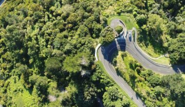 Gisborne council votes to close Titirangi Maunga roads to vehicles overnight