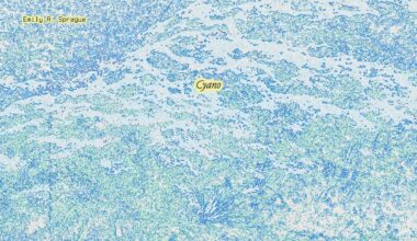 Emily A. Sprague: Cyano Album Review