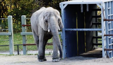 The modern zoo’s time is up