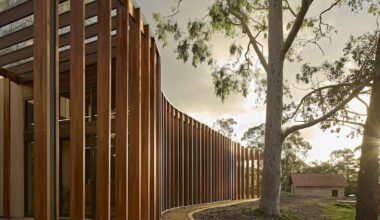 How the new Heysen Gallery was redesigned to save 35 trees at The Cedars
