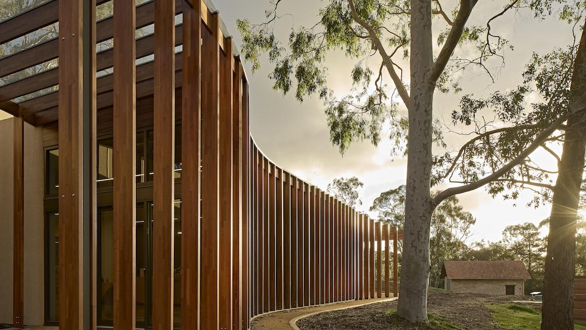 How the new Heysen Gallery was redesigned to save 35 trees at The Cedars