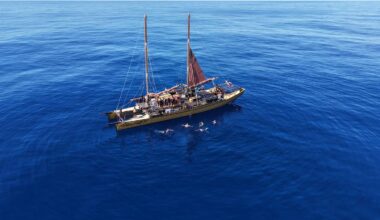 On The Up: Waka on last leg home to Ahuriri after navigating around South Pacific using only the stars