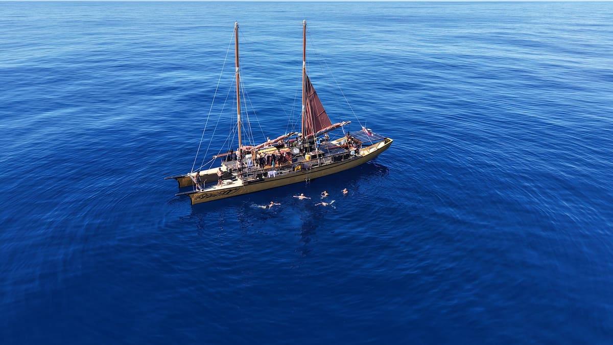 On The Up: Waka on last leg home to Ahuriri after navigating around South Pacific using only the stars