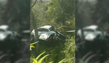 Te Puke Highway crash: One dead, another in critical condition after car ends up down bank