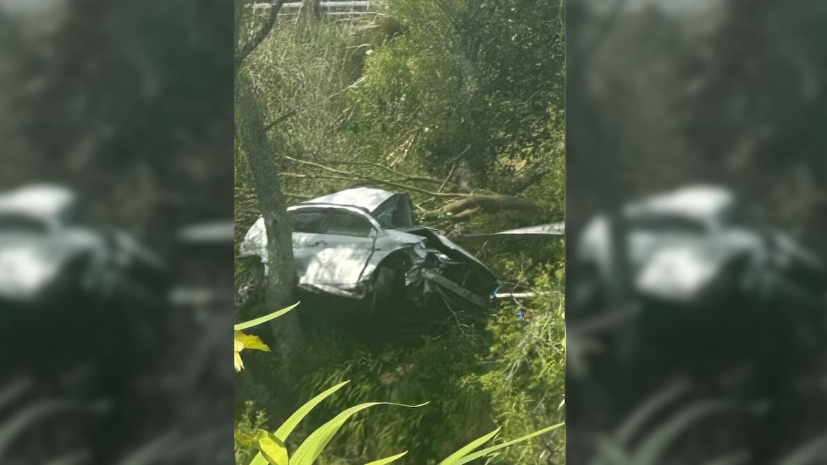 Te Puke Highway crash: One dead, another in critical condition after car ends up down bank