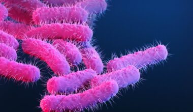 CDC report warns drug-resistant germs are ‘urgent’ threats – NBC Chicago