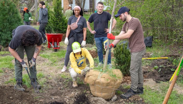 A small group of people gather round as a tree sapling is planted