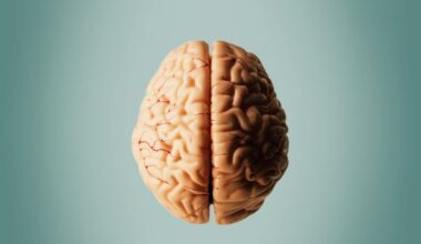 Could Alzheimer’s disease be treated by surgery? Scientists want to find out.