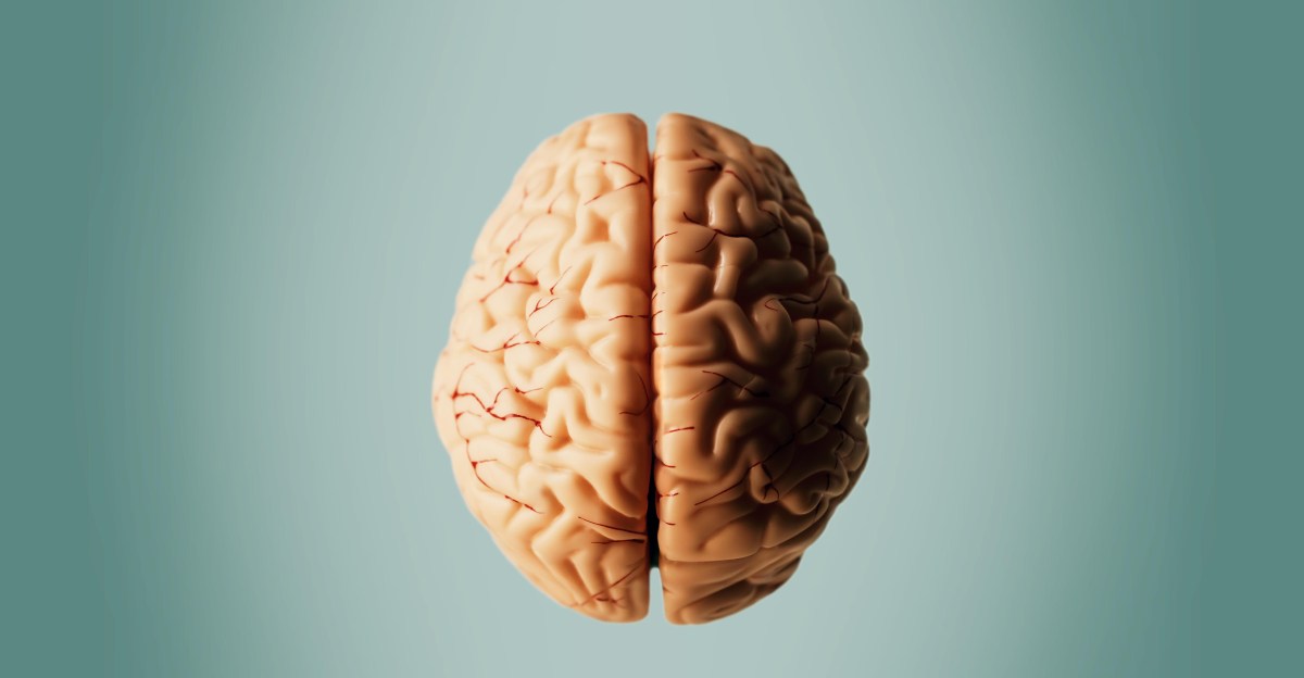 Could Alzheimer’s disease be treated by surgery? Scientists want to find out.