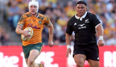 Wallabies player ratings vs New Zealand