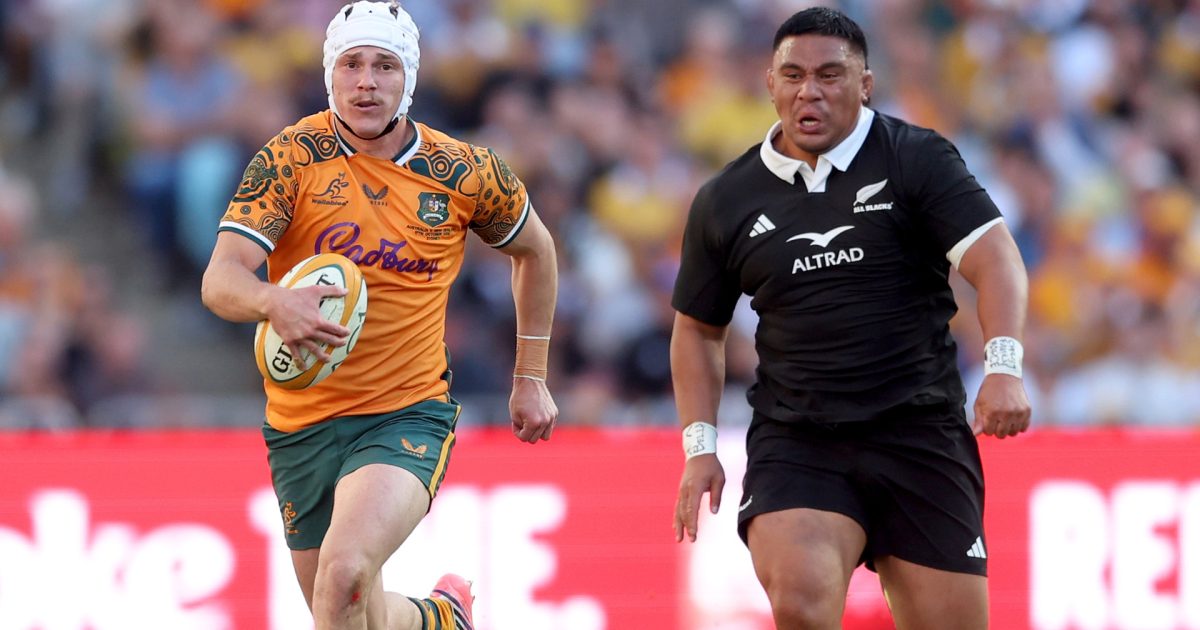 Wallabies player ratings vs New Zealand
