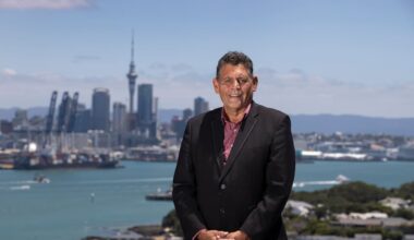 Houkura says Government voting rights ban unfairly targets Māori participation