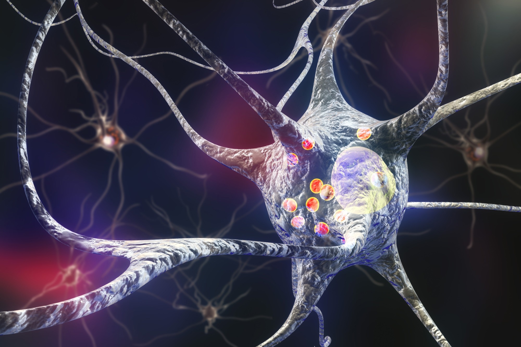 Image of neuron and intracellular proteins.