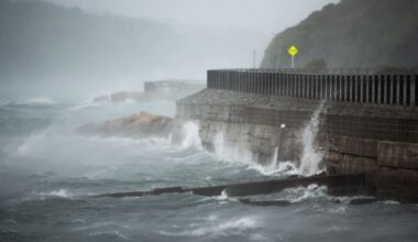 MetService wind watch for Wellington as 100km/h gusts approach