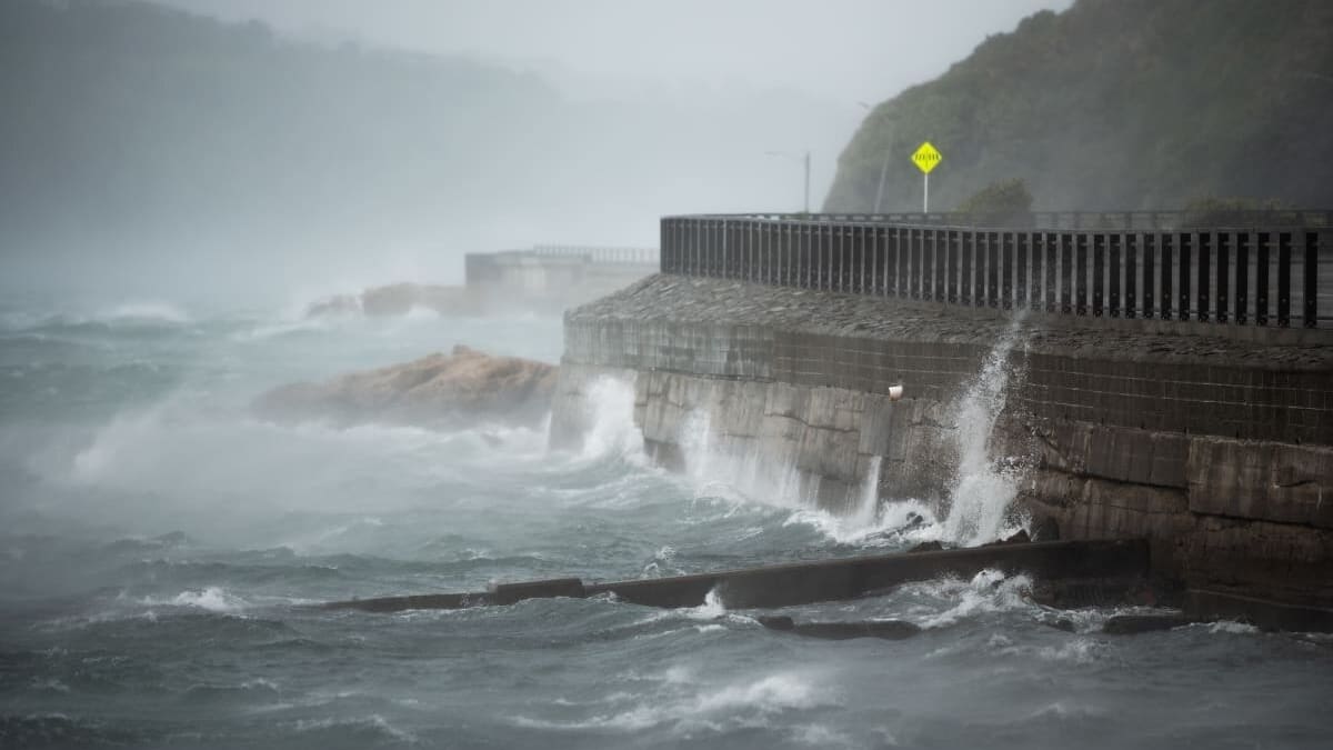 MetService wind watch for Wellington as 100km/h gusts approach