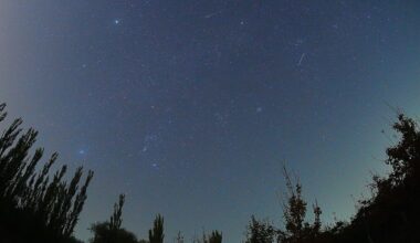 The 2026 Orionid meteor shower is here – when and how to see it