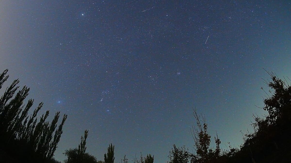 The 2026 Orionid meteor shower is here – when and how to see it