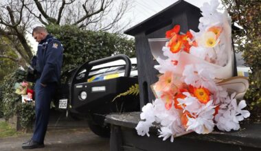 Rotorua triple homicide: Man charged with assault granted electronic bail
