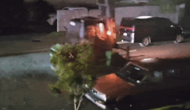 Forklift zips down residential street, pursued by police in Weymouth, South Auckland