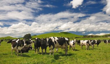Tribunal rejects dairy worker’s residency appeal over murder charge non-disclosure