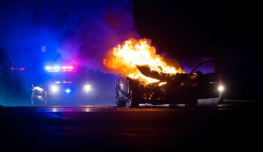Ethan Smith and associates burgled Christchurch homes, set car alight