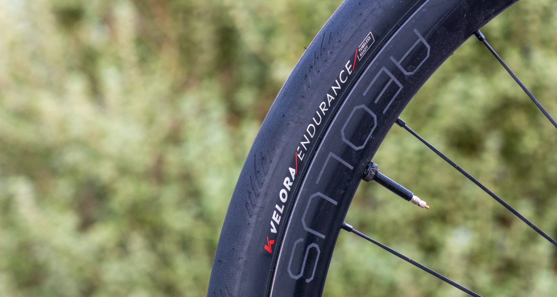 Kenda Velora Tires Cover Photo