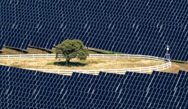 New Zealand opens $153m Kōwhai Park solar farm in Christchurch