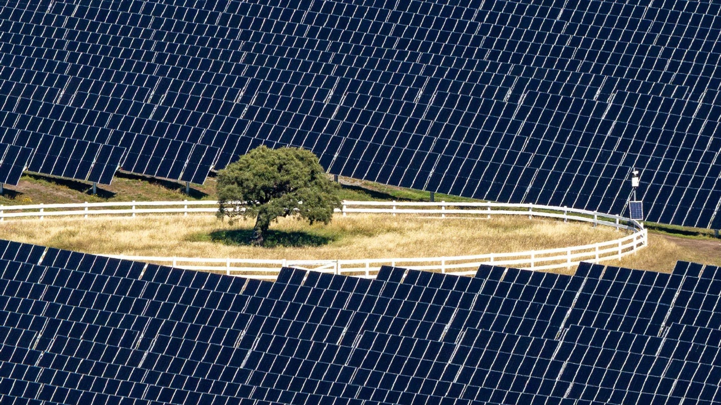 New Zealand opens $153m Kōwhai Park solar farm in Christchurch