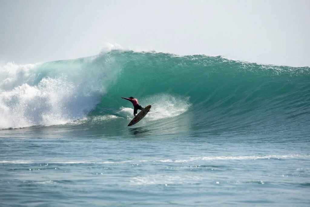 Surfing's 2026 Q3 Report: Dead Cat Bounce, Live Cocaine Bump