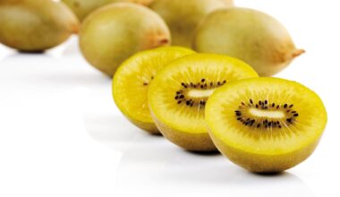 Golden kiwifruit: China’s wild fruit became a New Zealand export