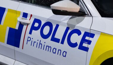 Christchurch dog attack: Dog euthanised after child seriously injured