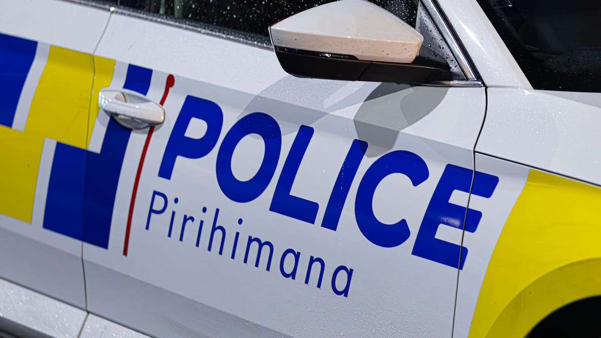 Christchurch dog attack: Dog euthanised after child seriously injured