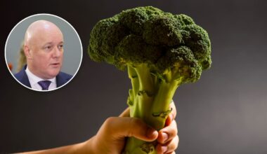 Why the ‘broccoli’ economy is a hard sell for the Government – The Economy of Everything