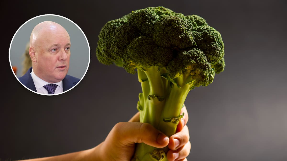 Why the ‘broccoli’ economy is a hard sell for the Government – The Economy of Everything
