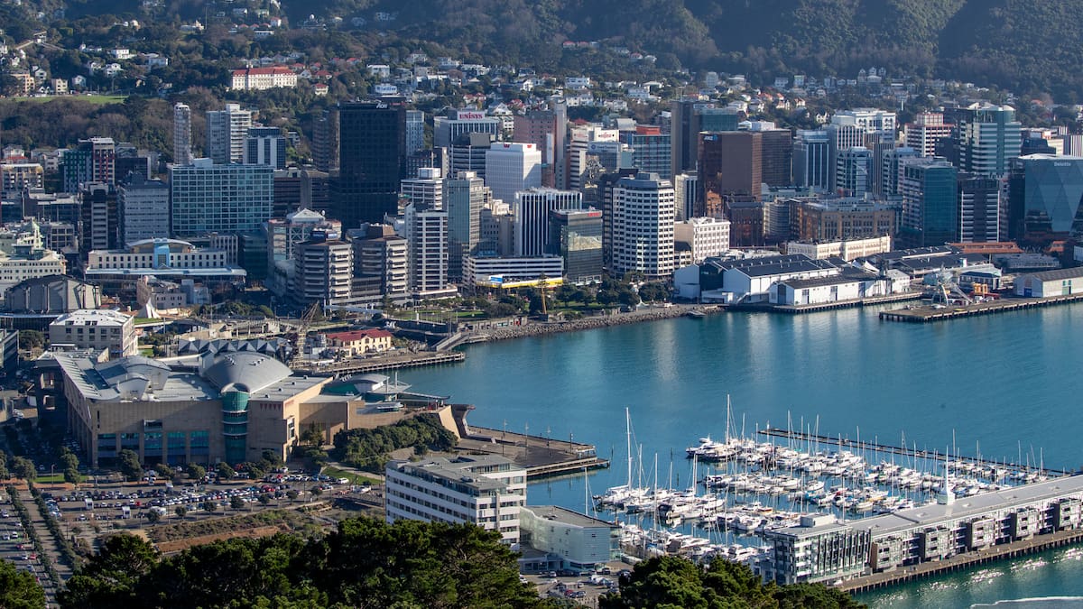 Library closures, pool charges and Te Papa funding cuts proposed as Wellington City Council prepares for rates capping