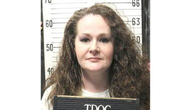 Botched US execution leaves murderer unconscious on ventilator: lawyers