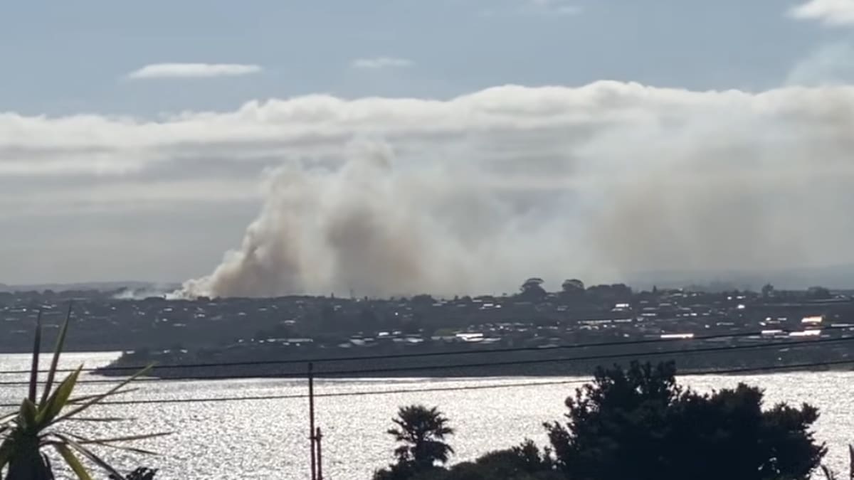 Northwest Auckland wildfire: Firefighters contain blaze near Whenuapai