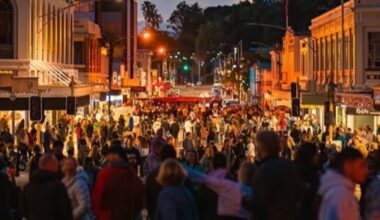 How to make the most of Napier’s biggest night - the free Nuit Blanche Festival