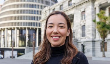 Opportunity abandoning tax reform next term ‘worth considering’ in potential National-led coalition – Qiulae Wong