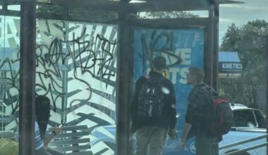 Police called out to tagger defacing Auckland bus stop