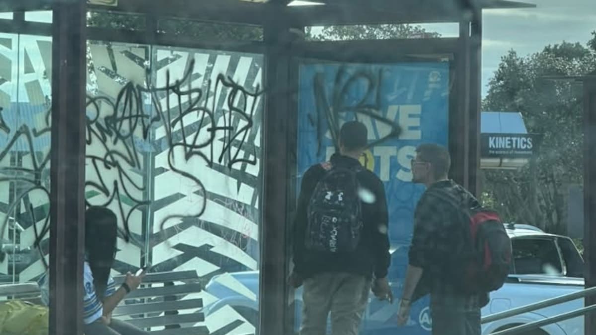Police called out to tagger defacing Auckland bus stop