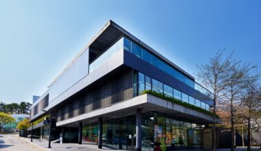 Pace Reports $5.6 M. Loss for International Business in 2025