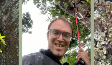 A male academic wearing glasses holding a red rope attached to a tree, flanked by images of exotic plant life