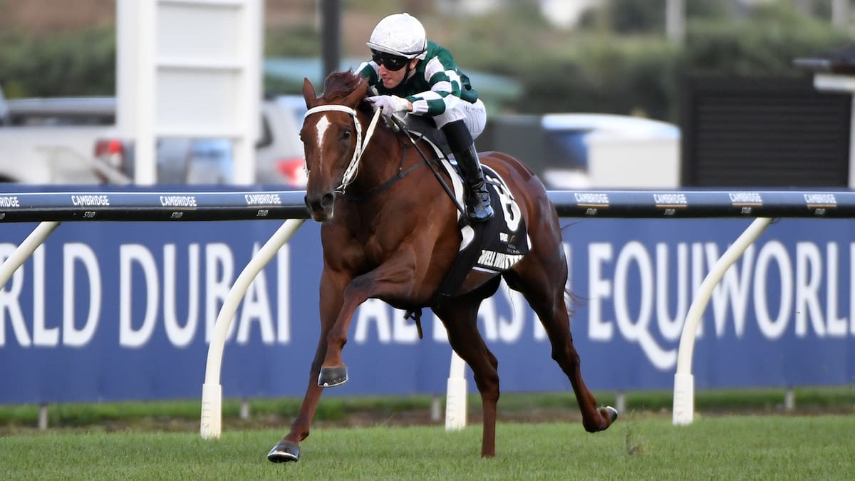 Well Written is our best horse but is she good enough to beat the Aussies?